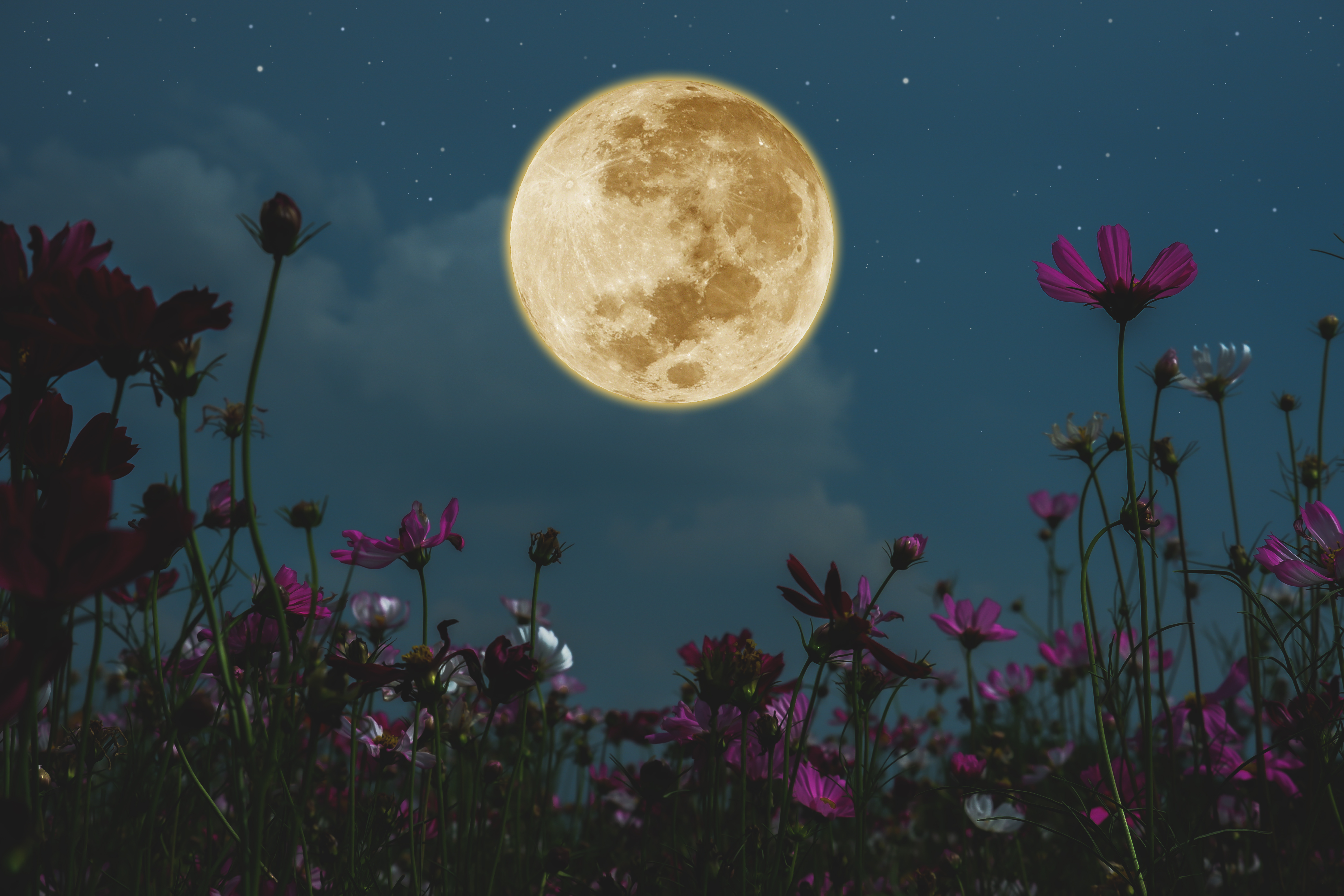 Full Moon